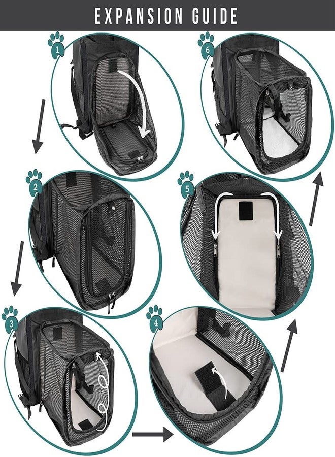 PetAmi Dog Cat Backpack Carrier, Expandable Pet Carrier Backpack for Travel Hiking, Small Medium Dog Puppy Large Cat Carrying Backpack, Airline Approved Ventilated Soft Back Support, 18 lbs, Black - Image 3